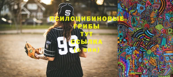 спайс Туринск