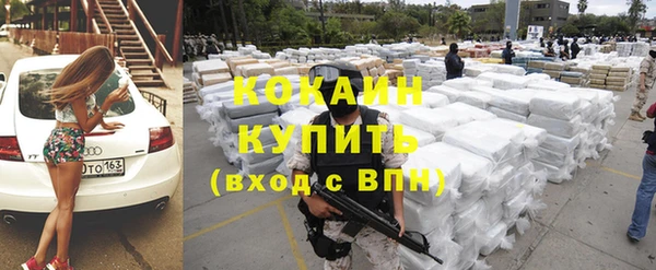 ГАЛЛЮЦИНОГЕННЫЕ ГРИБЫ Аркадак
