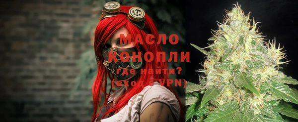 прущие грибы Тында