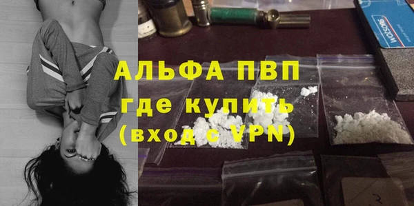 ГАЛЛЮЦИНОГЕННЫЕ ГРИБЫ Аркадак