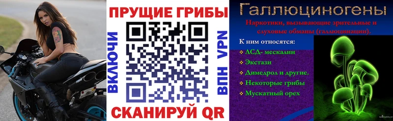 Галлюциногенные грибы ЛСД  наркошоп  Махачкала 