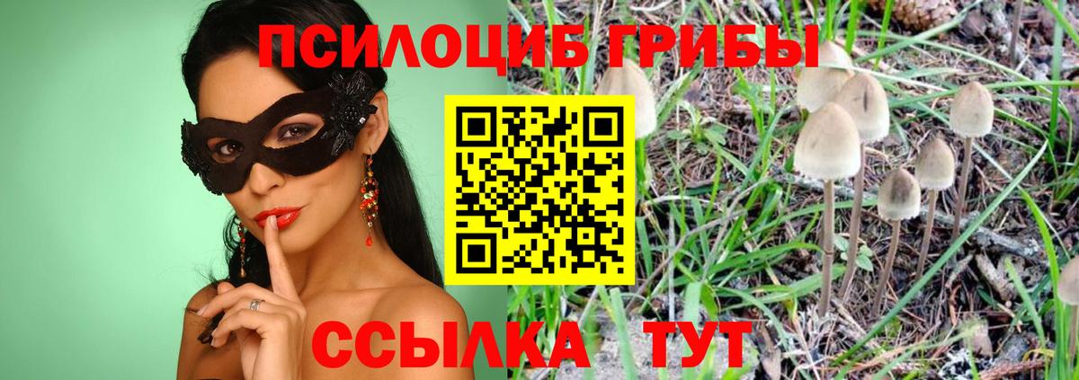 Псилоцибиновые грибы прущие грибы Махачкала