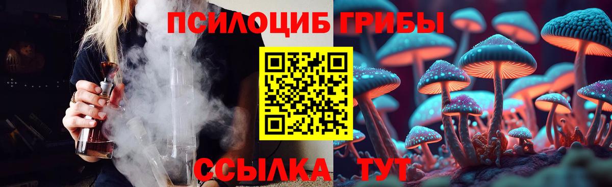 Псилоцибиновые грибы мицелий  Вход с VPN  Псилоцибиновые грибы GOLDEN TEACHER  Махачкала 
