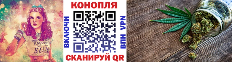 купить  сайты  Махачкала  shop формула  Канабис Ganja 